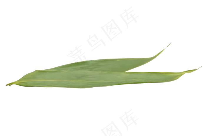 包粽子绿色粽叶(2000X2000(DPI:300))