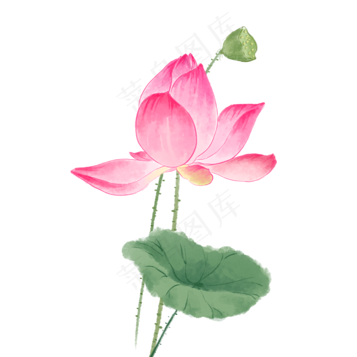 中国风荷花水彩画(2000X2000(DPI:300))psd模版下载