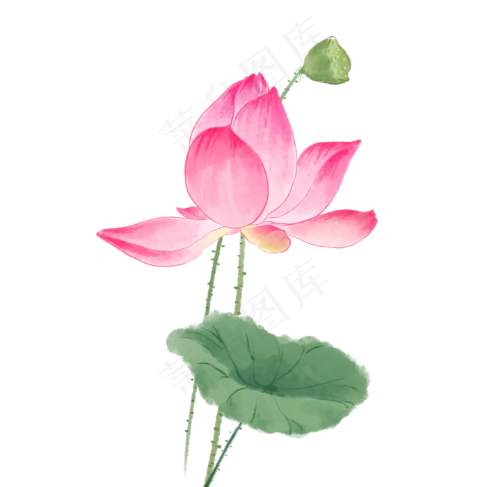 中国风荷花水彩画(2000X2000(DPI:300))psd模版下载