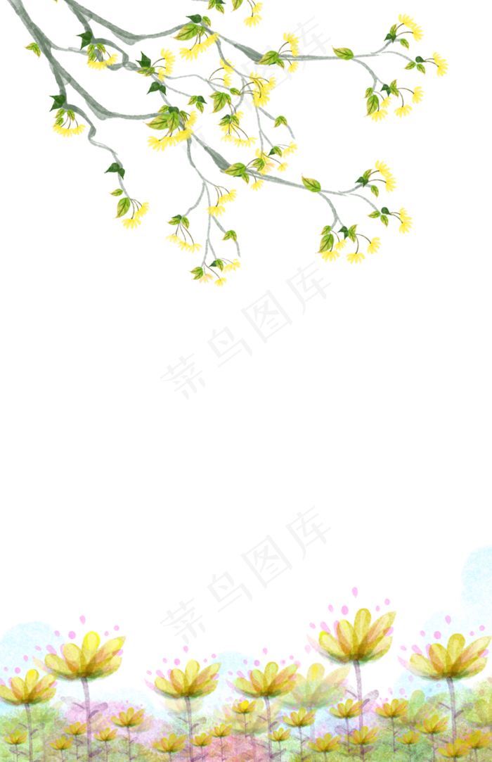 装饰边框迎春花春天植物PNG(1069X1654(DPI:300))psd模版下载