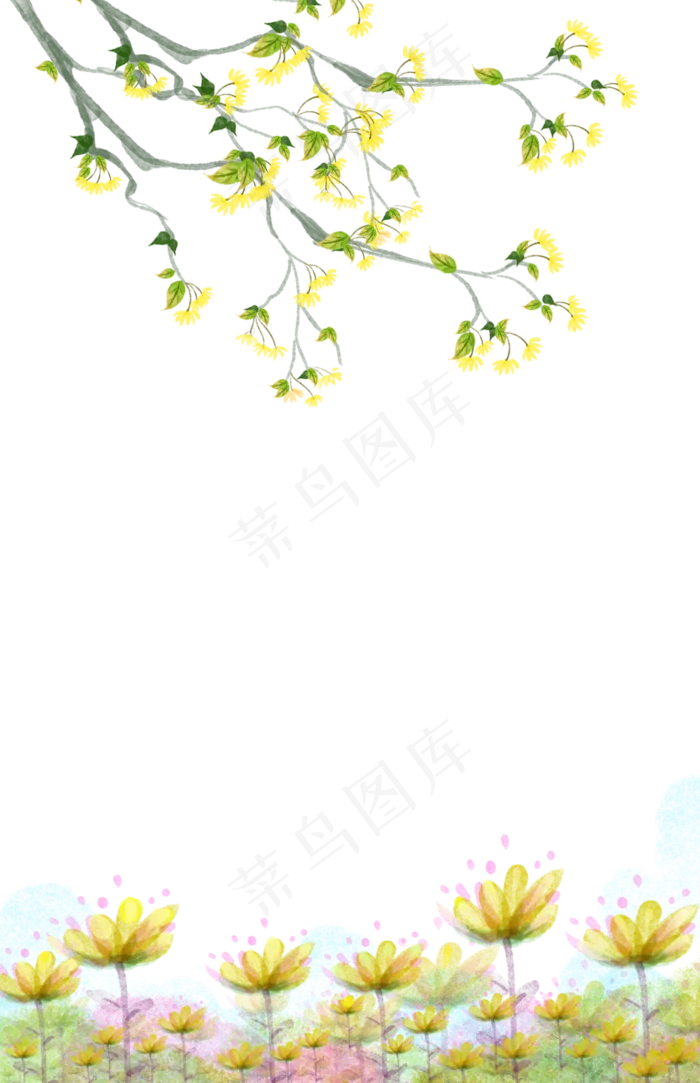 装饰边框迎春花春天植物PNG(1069X1654(DPI:300))psd模版下载