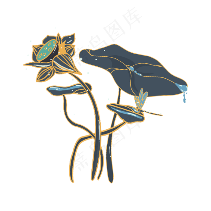 荷花荷叶莲花小暑大暑