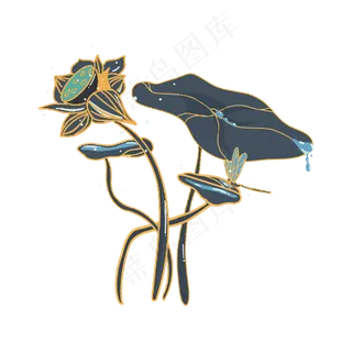 荷花荷叶莲花小暑大暑