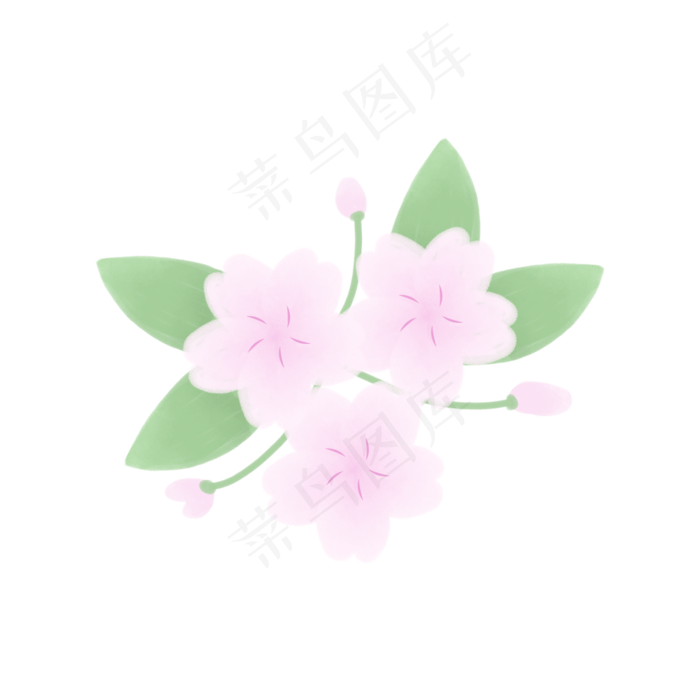 樱花节三朵樱花桃花花骨朵叶子装(2000X2000(DPI:300))psd模版下载