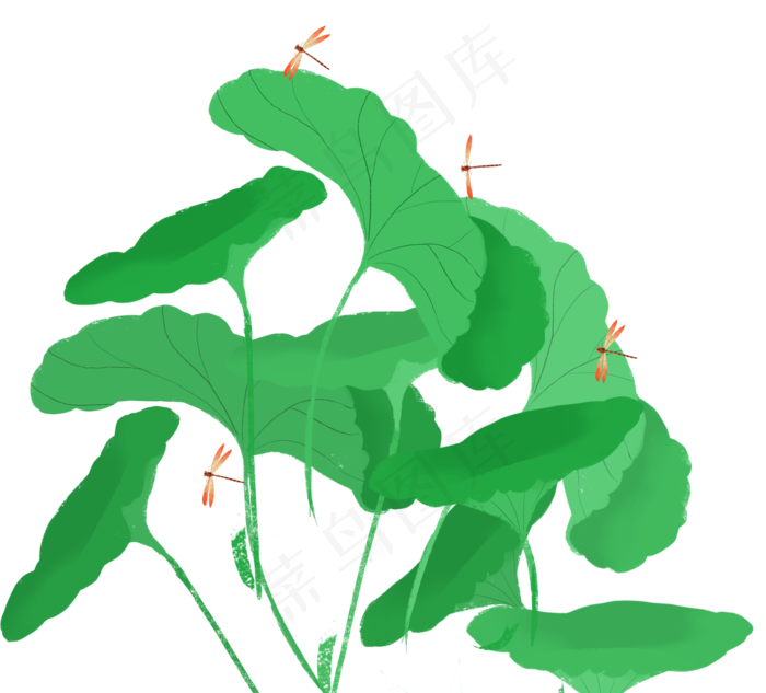 荷叶蜻蜓(2000X1808(DPI:300))psd模版下载
