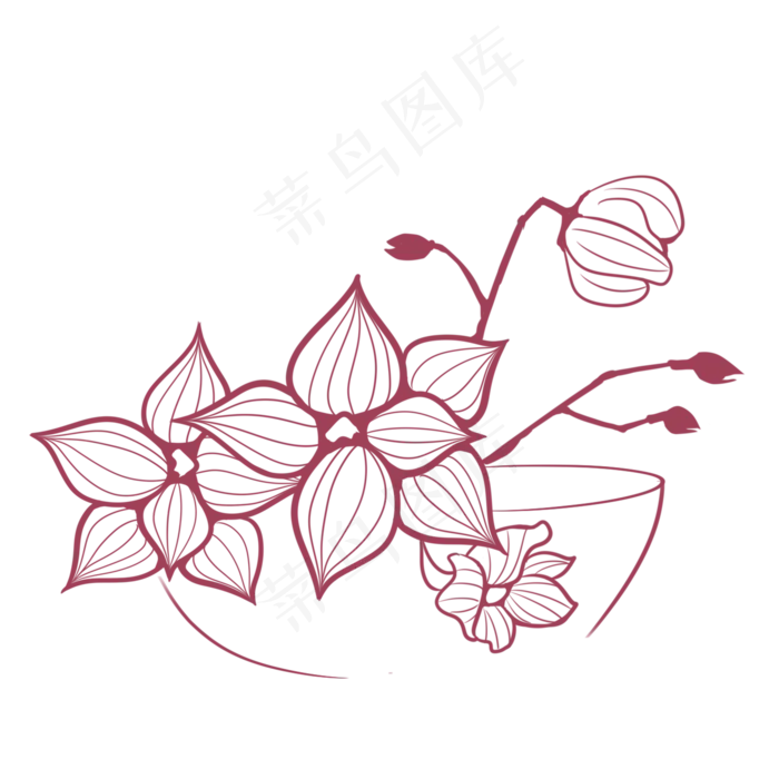 紫色石斛花(2000*2000px 300 dpi )ai矢量模版下载