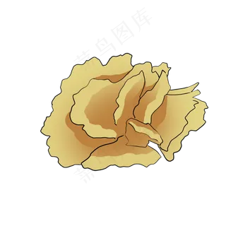 黄色美丽的康乃馨母亲节