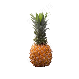 水果菠萝实拍免抠