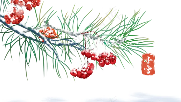 雪下的红果子,免抠元素(2000X2000(DPI:300))