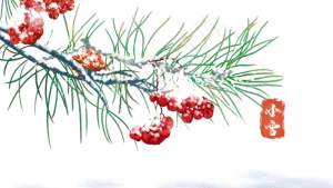 雪下的红果子,免抠元素