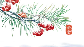 雪下的红果子,免抠元素