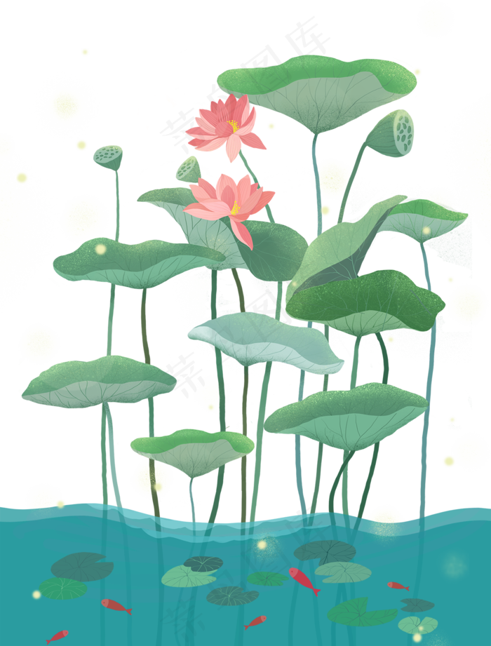 荷花植物(1300X1710(DPI:300))psd模版下载