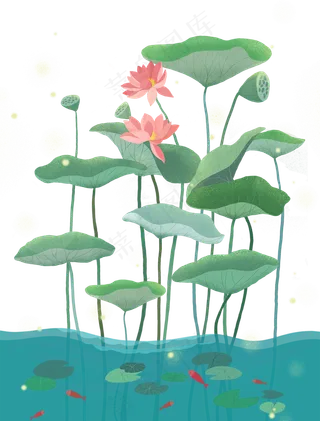 荷花植物