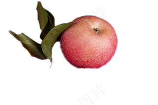 一个带绿叶子的苹果