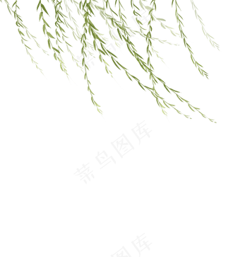 初春柳树枝条免费素材下载,免抠元素