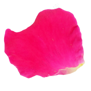 玫瑰花瓣