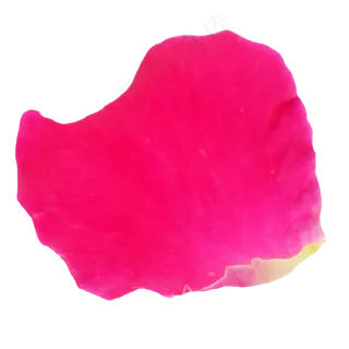 玫瑰花瓣