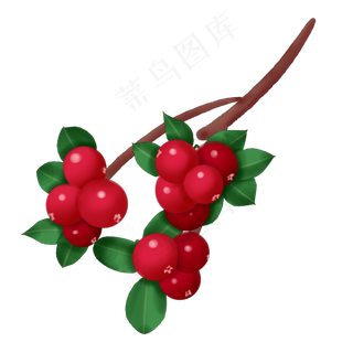 手绘立体蔓越莓果实