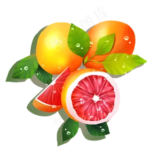 水果之香甜西柚