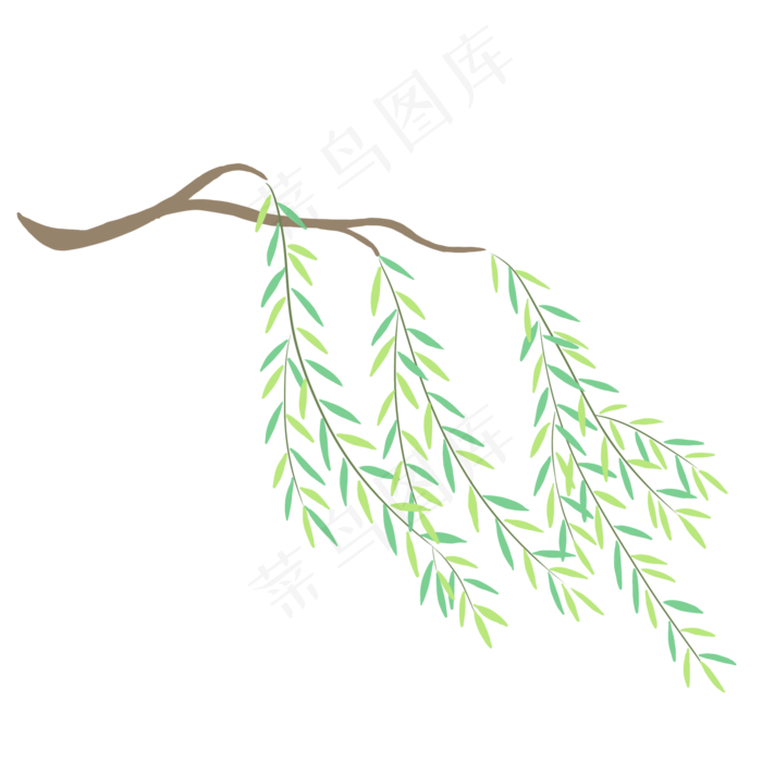 柳树枝和柳叶PNG