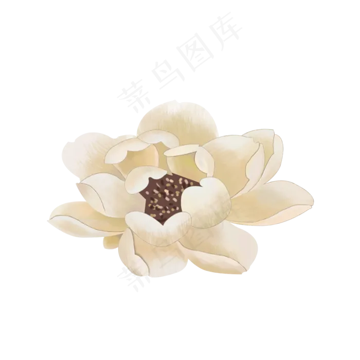 复古手绘荷花写实设计(2000X2000(DPI:150))psd模版下载