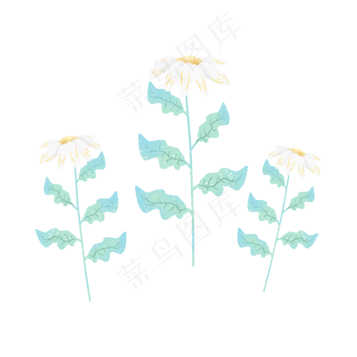 盛开的白色花朵(2000X2000(DPI:300))psd模版下载