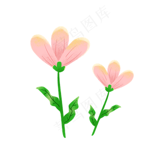 粉色盛开的花朵