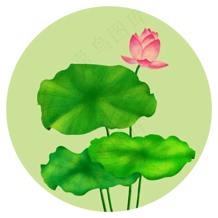 手绘中国风荷花荷叶装饰元素(2000X2000(DPI:300))psd模版下载