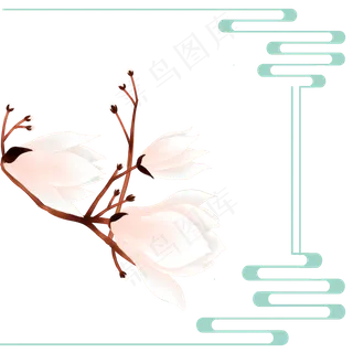 春季花卉木兰树望春花旱荷花早春