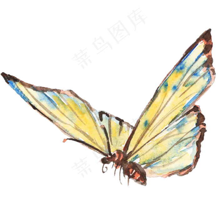 水墨彩色花纹蝴蝶,免抠元素(2200*2200px)psd模版下载