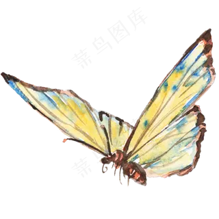 水墨彩色花纹蝴蝶,免抠元素