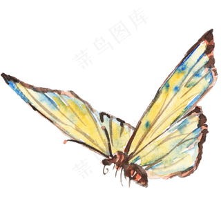 水墨彩色花纹蝴蝶,免抠元素