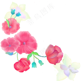矢量手绘康乃馨水彩画11 矢量手绘康乃馨水彩画11