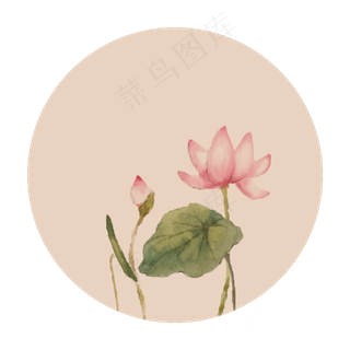 中国风古典古风荷花矢量图