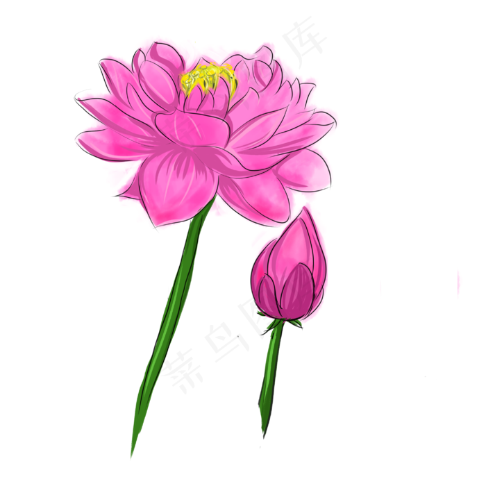 粉色卡通荷花(3000X3000(DPI:300))psd模版下载