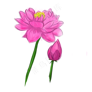 粉色卡通荷花