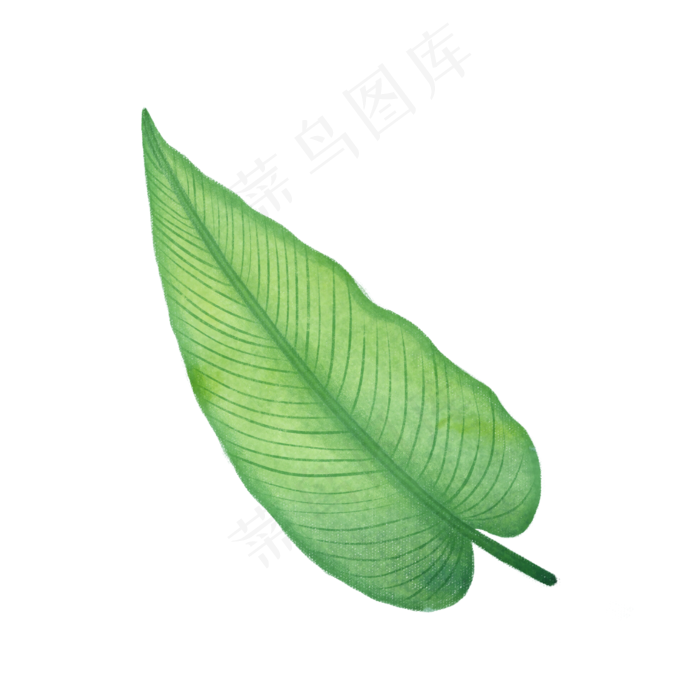 手绘自然树叶绿色植物叶子(2480X2480(DPI:300))psd模版下载