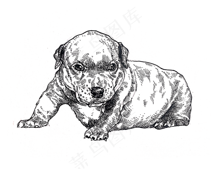 黑白线条手绘小狗装饰图,免抠元素