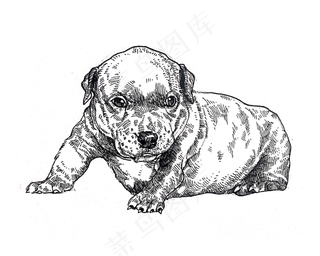 黑白线条手绘小狗装饰图,免抠元素