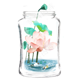 夏至日瓶中荷花