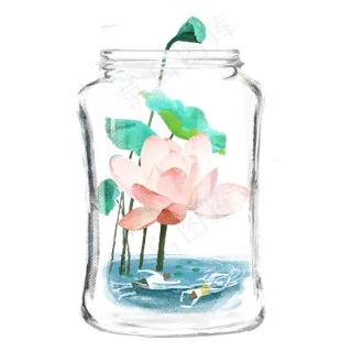 夏至日瓶中荷花