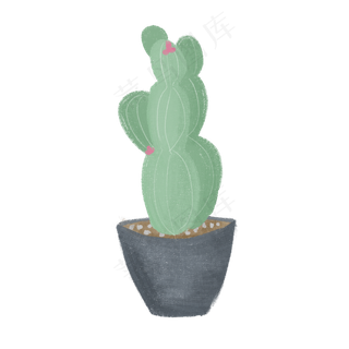 春天仙人掌盆栽