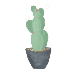 春天仙人掌盆栽