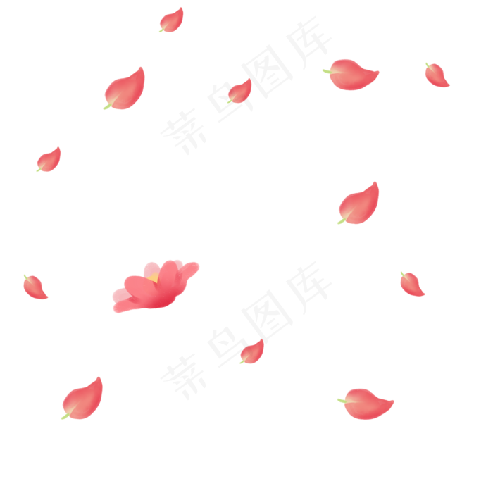 飘舞荷花花瓣(2000*2000px 300 dpi )psd模版下载