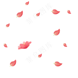 飘舞荷花花瓣