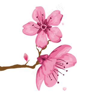 粉色系一串桃花特写