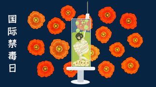 国际禁毒日针管里的女生