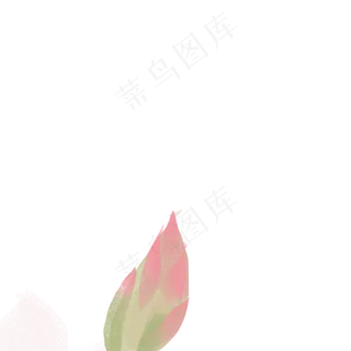 红色花朵免抠图