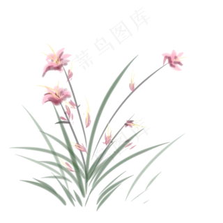 水墨兰花