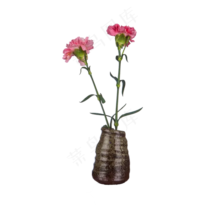花（png免抠）(2000X2000(DPI:72))psd模版下载